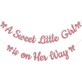 NovibebeCo. Baby Girl Shower Banner